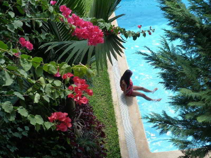 Casa Do Papagaio Verde Hotel Funchal  Bagian luar foto