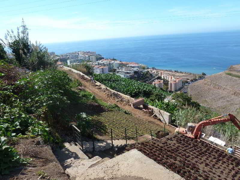 Casa Do Papagaio Verde Hotel Funchal  Bagian luar foto